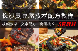 正宗长沙臭豆腐技术配方