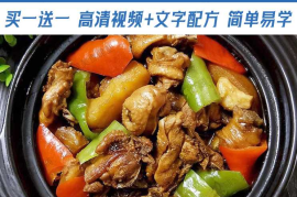 黄焖鸡米饭技术