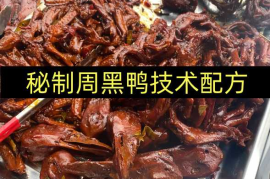 秘制周黑鸭技术配方