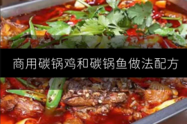 商用碳锅鸡和碳锅鱼做法配方