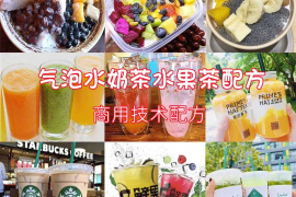 气泡水奶茶水果茶教程